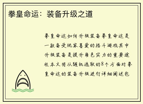 拳皇命运：装备升级之道